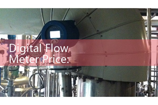 Digital Flow Meter Price: Commercial Sourcing and Sizing System Cost Analysis
